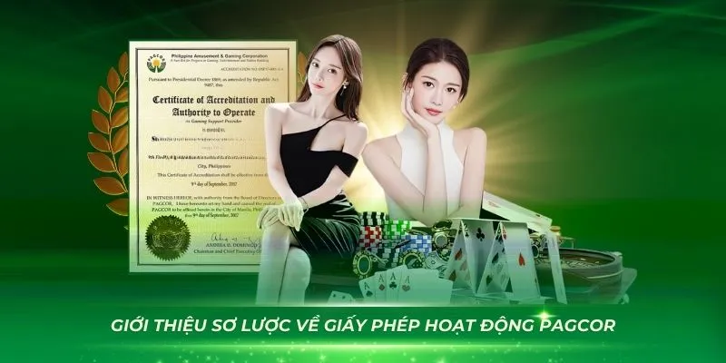 Giấy Phép Hoạt Động Vua99: CEZA, Isle of Man & Tiêu Chí